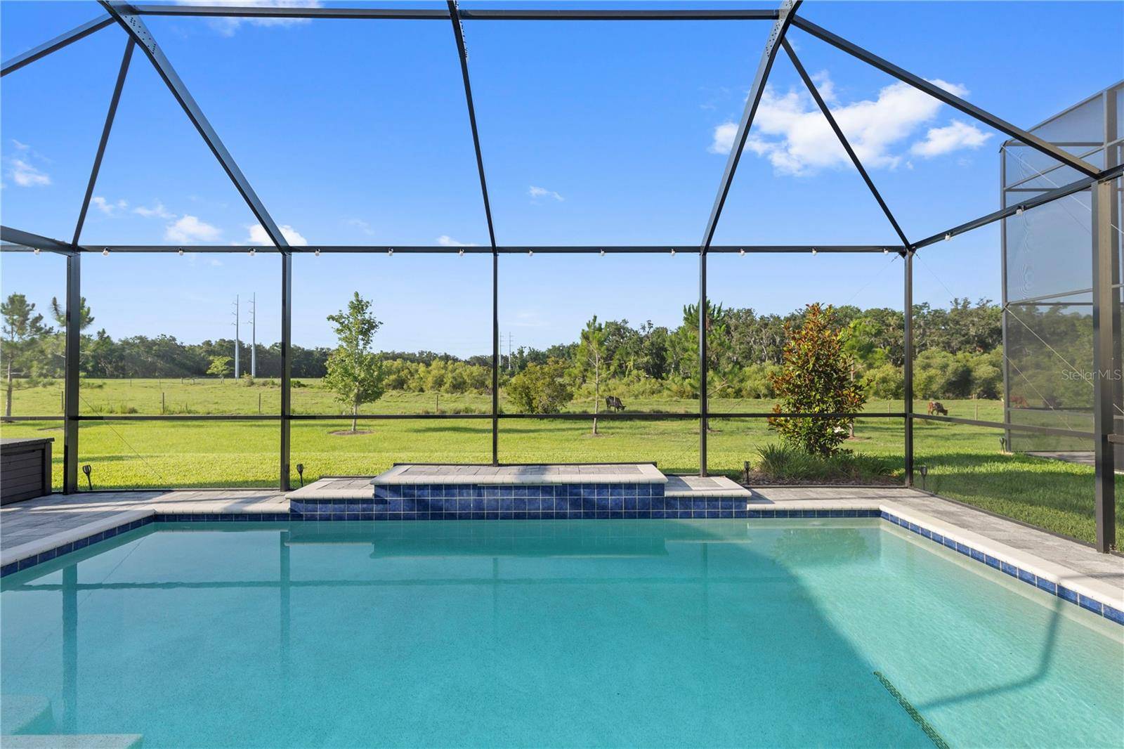 Riverview, FL 33579,14215 SWISS BRIDGE DR