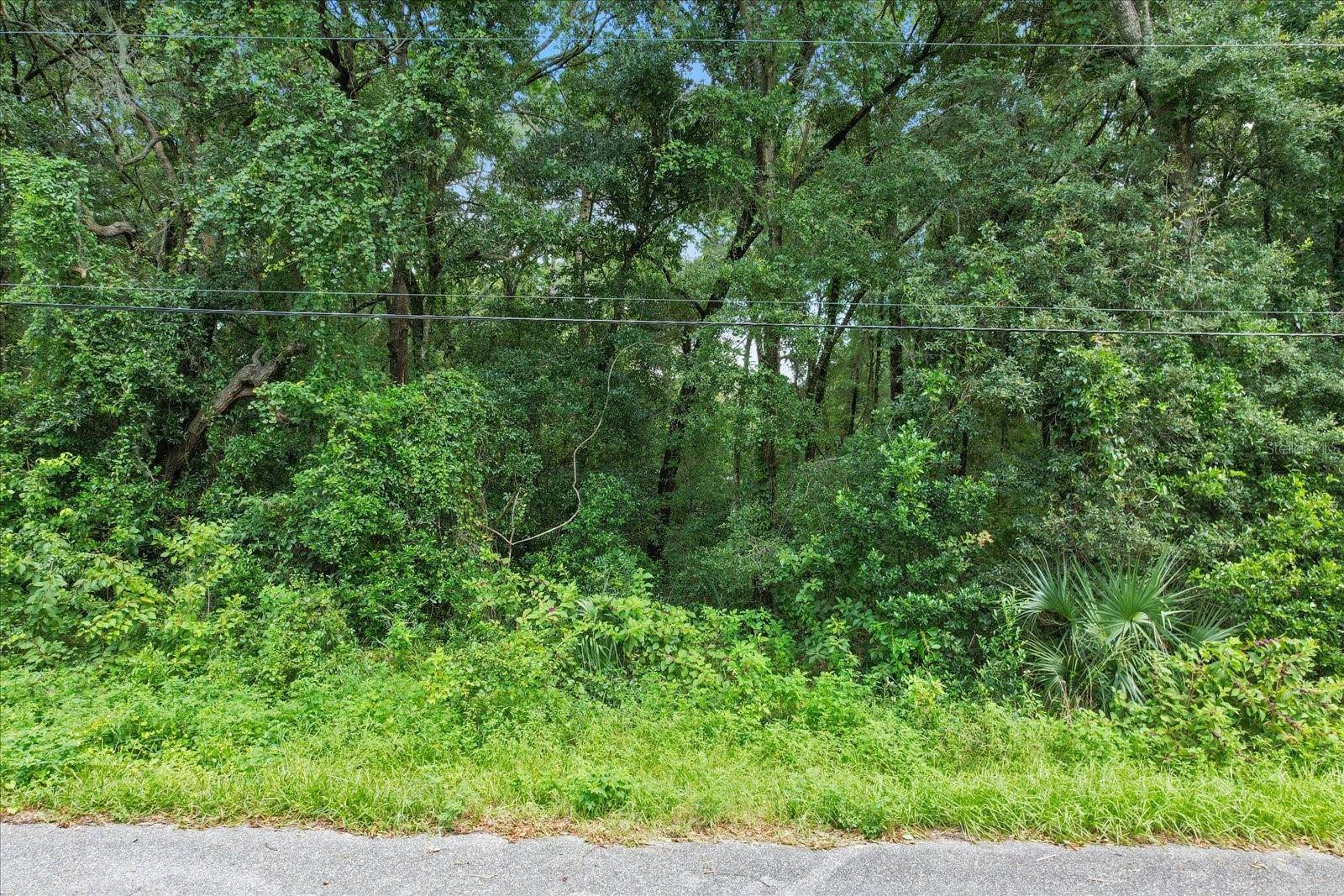 Inverness, FL 34452,5347 E MUZZLE LOADERS CT