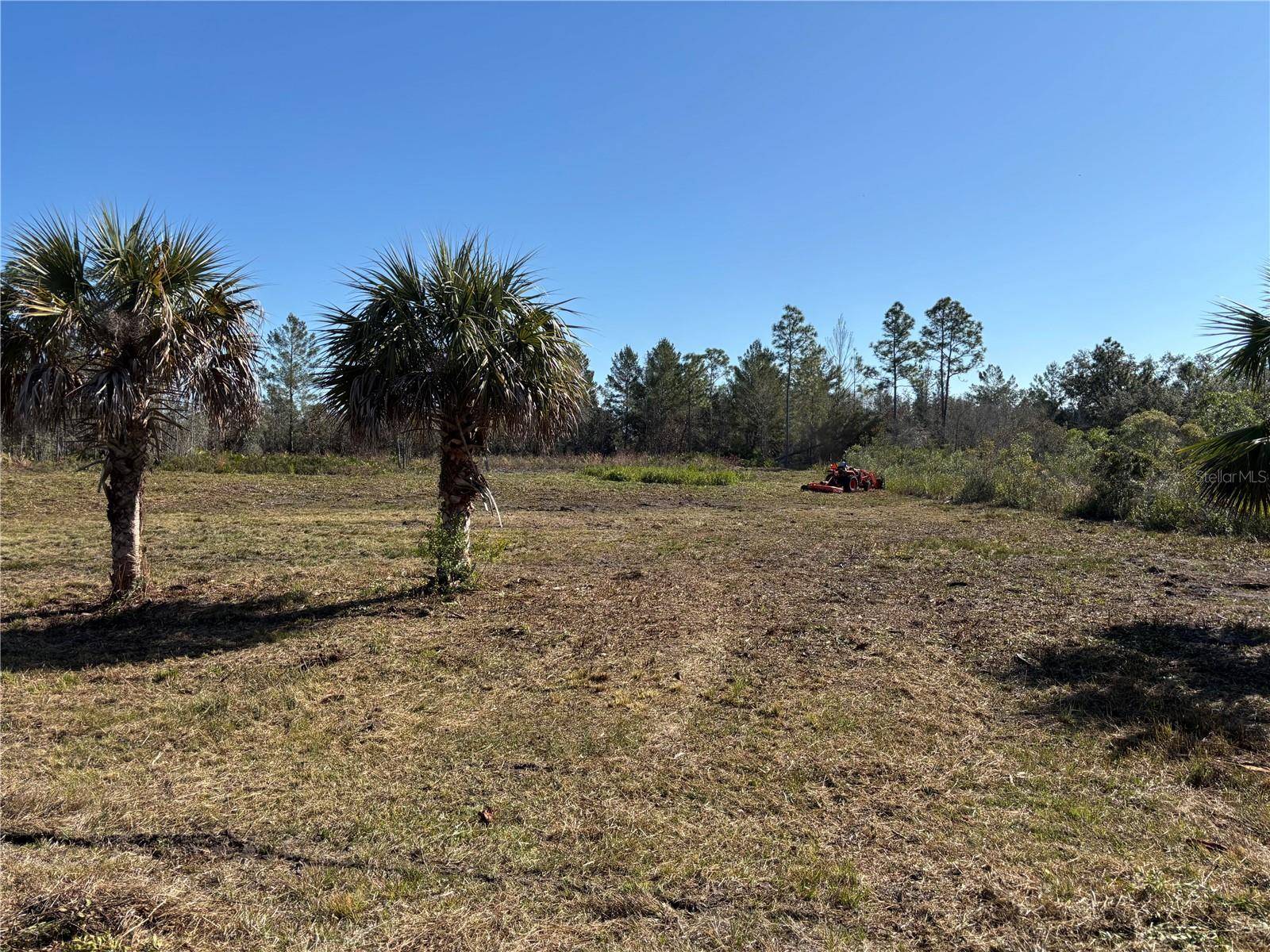 Brooksville, FL 34614,18456 QUIET RD