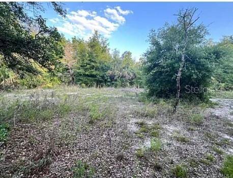 Crystal River, FL 34428,8376 W CATRINA LN