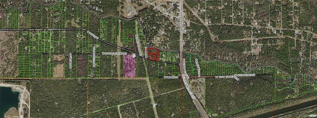 Inglis, FL 34449,11275 N RAIN PT