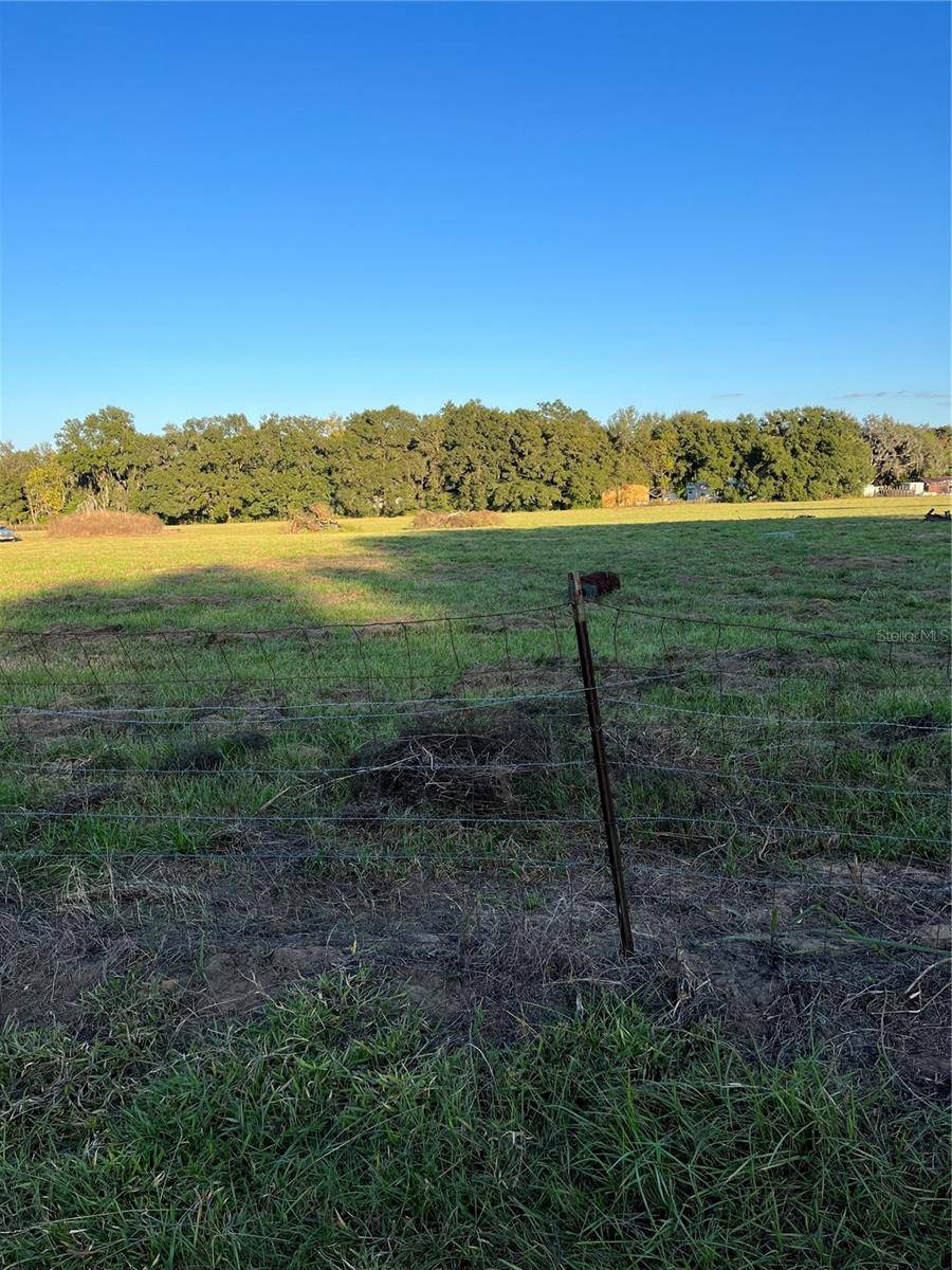 Dade City, FL 33523,16526 POWERLINE RD