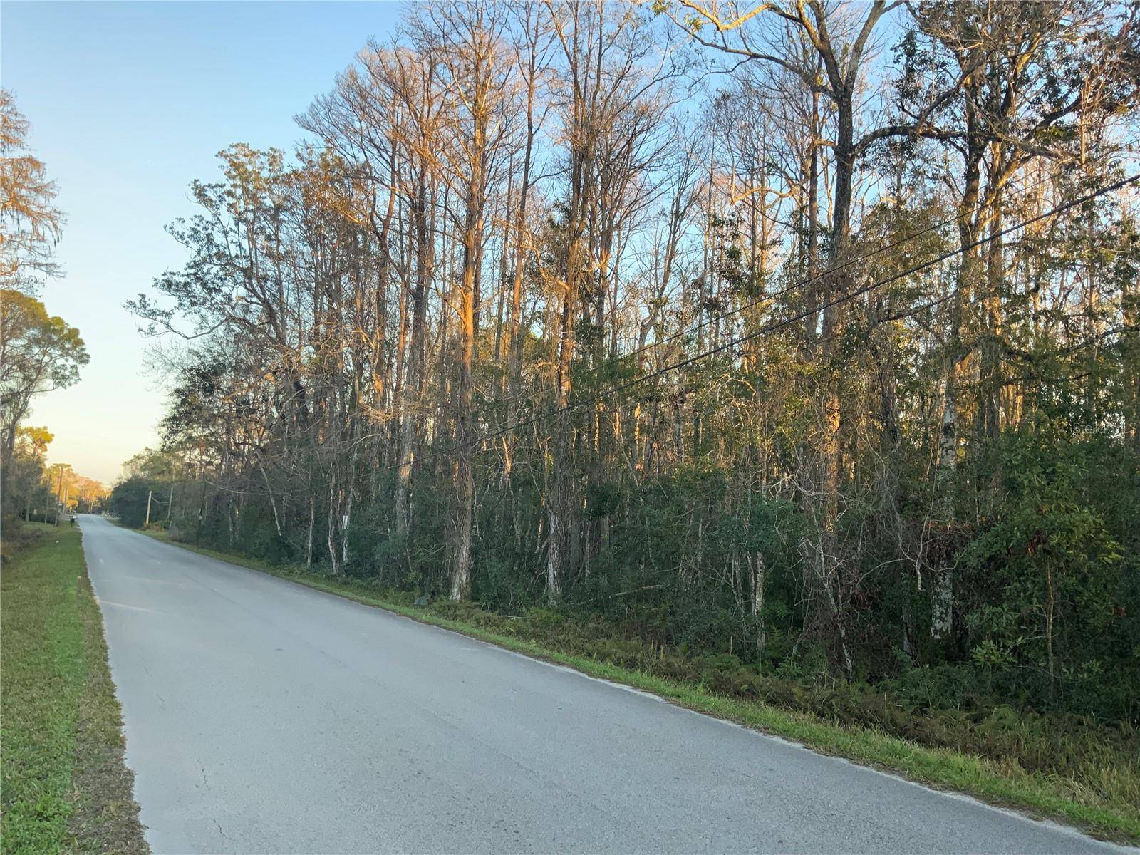 New Port Richey, FL 34654,12842 MIDVALE AVE
