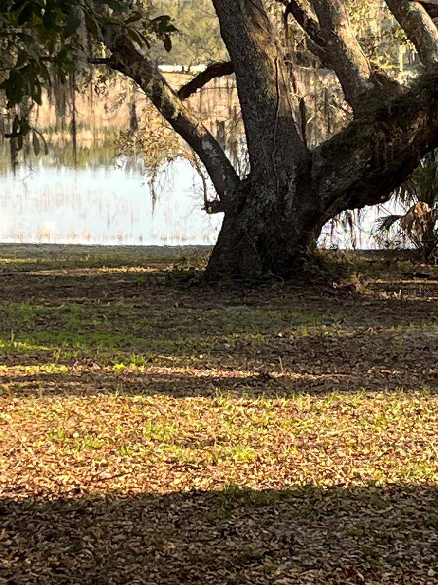 Dade City, FL 33523,5118 SHOREWOOD DR