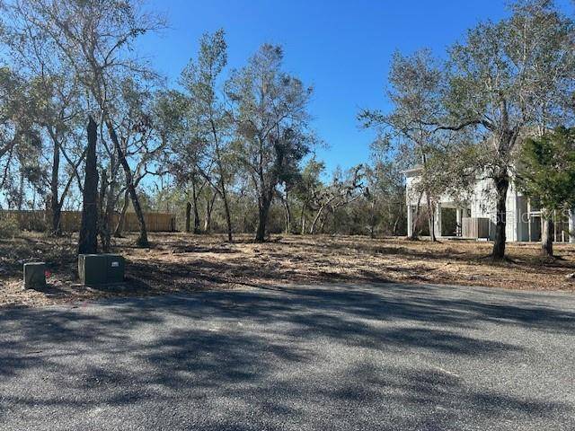 Steinhatchee, FL 32359,158 SW 279 AVE