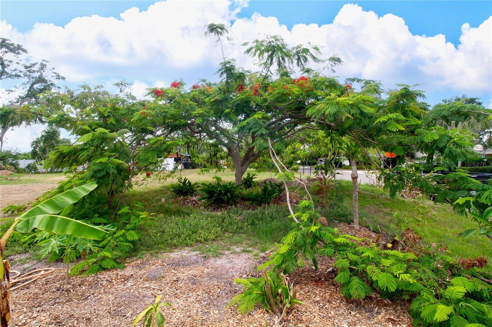 Belleair, FL 33756,PINELAND AVE