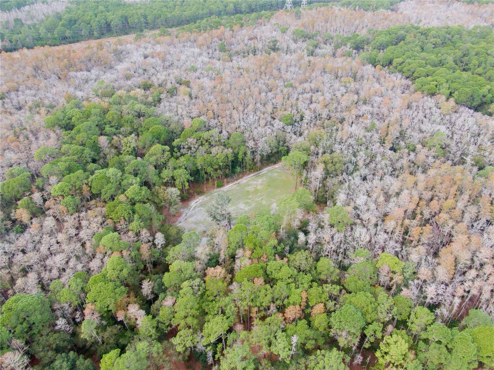 Odessa, FL 33556,ODESSA