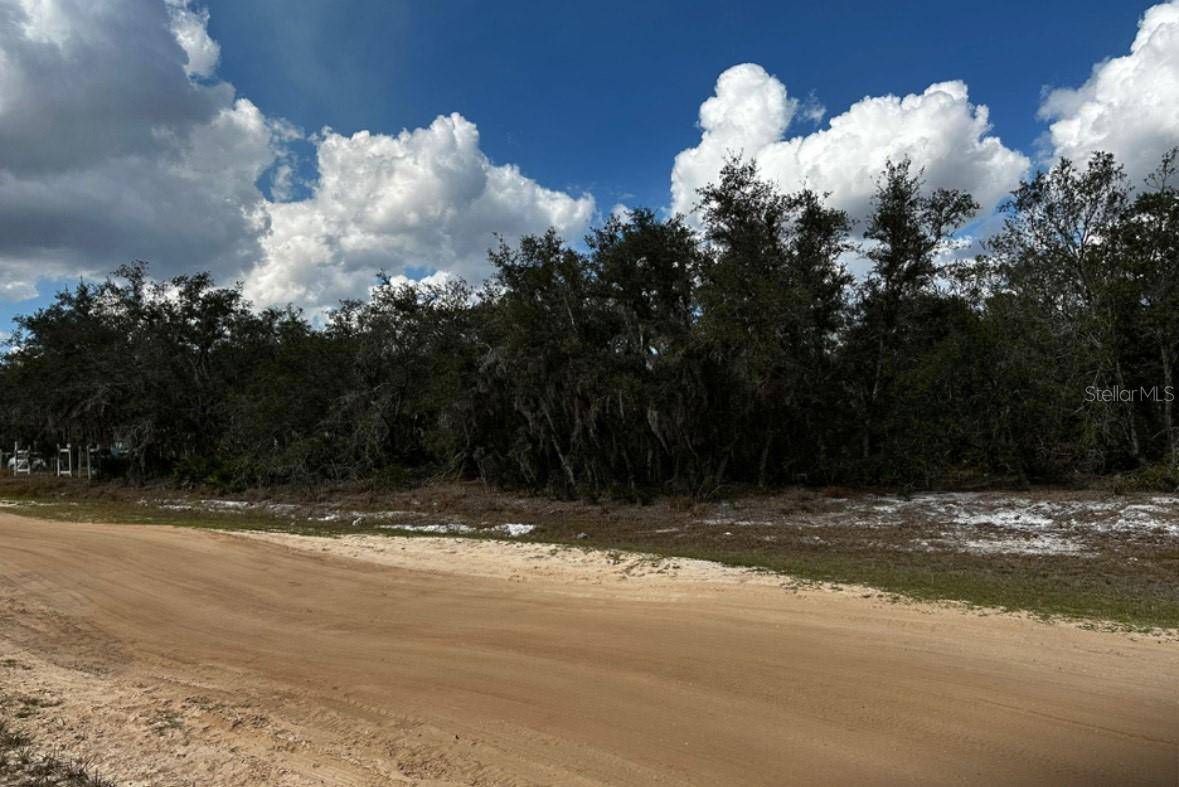 Lake Wales, FL 33859,0 ALLISON AVE