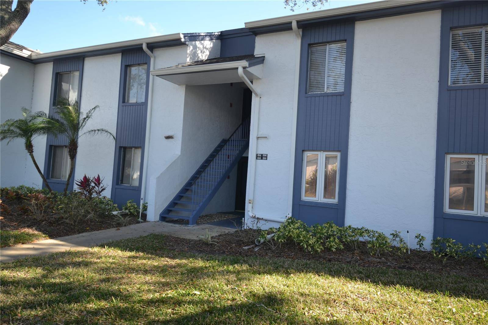 Oldsmar, FL 34677,256 CYPRESS LN #120