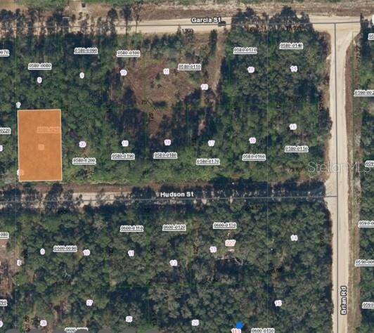 Interlachen, FL 32148,HUDSON ST