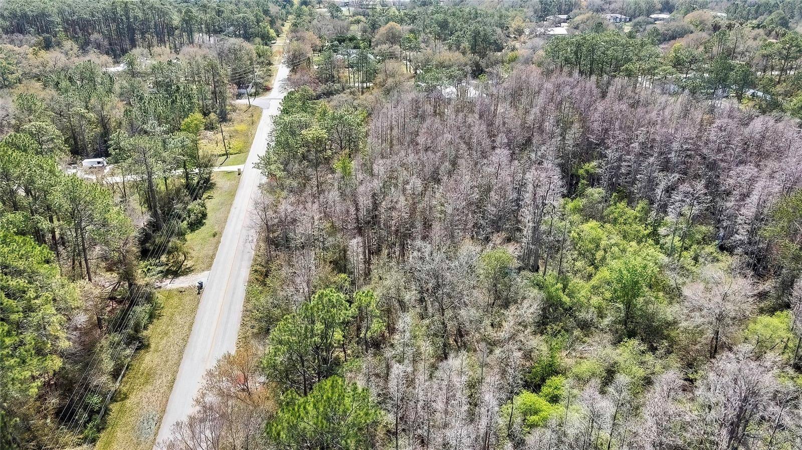 Wesley Chapel, FL 33544,BEAVER LN