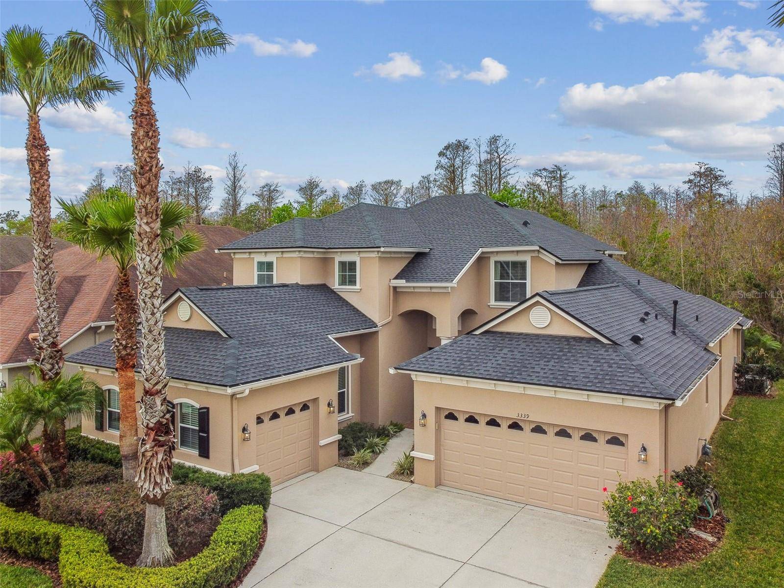 Land O Lakes, FL 34638,3339 DIAMOND FALLS CIR