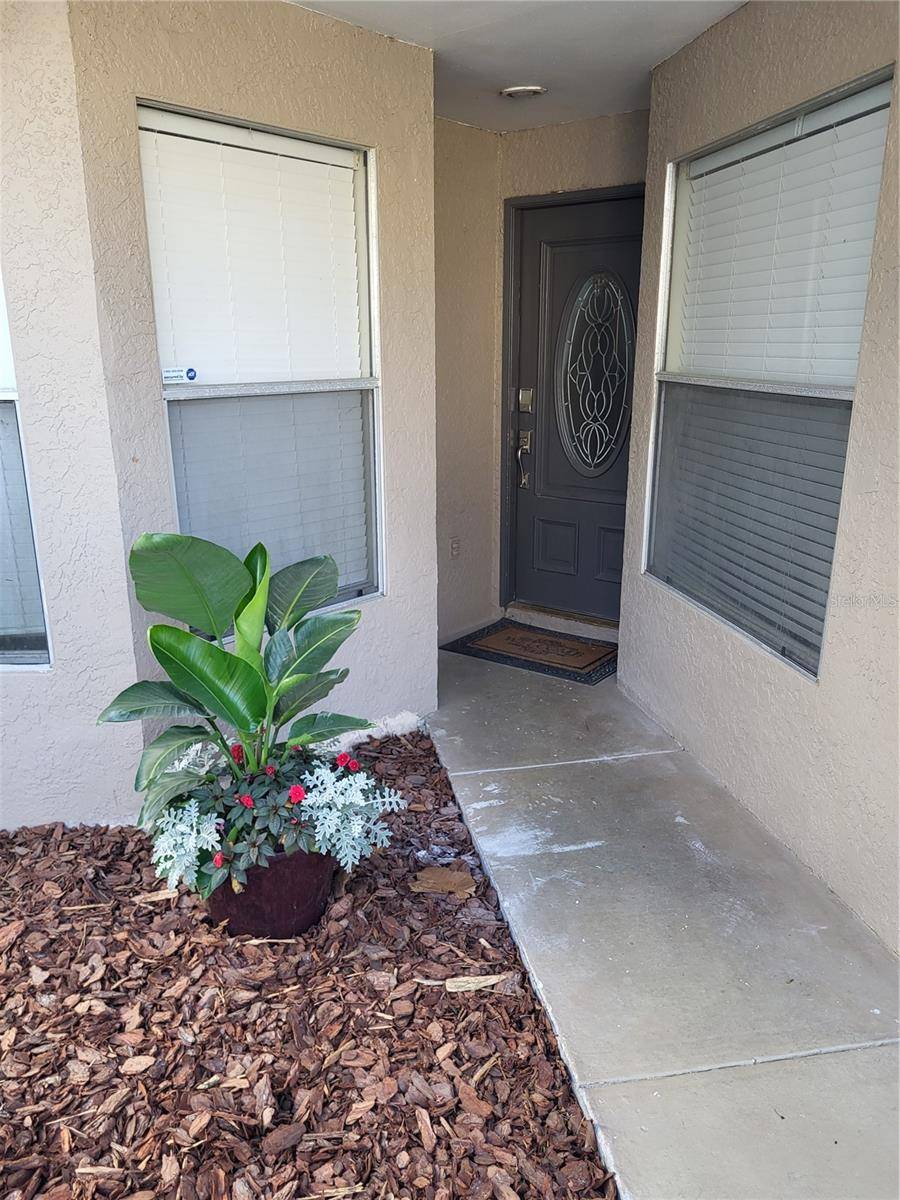 Tampa, FL 33635,11638 HIDDEN HOLLOW CIR