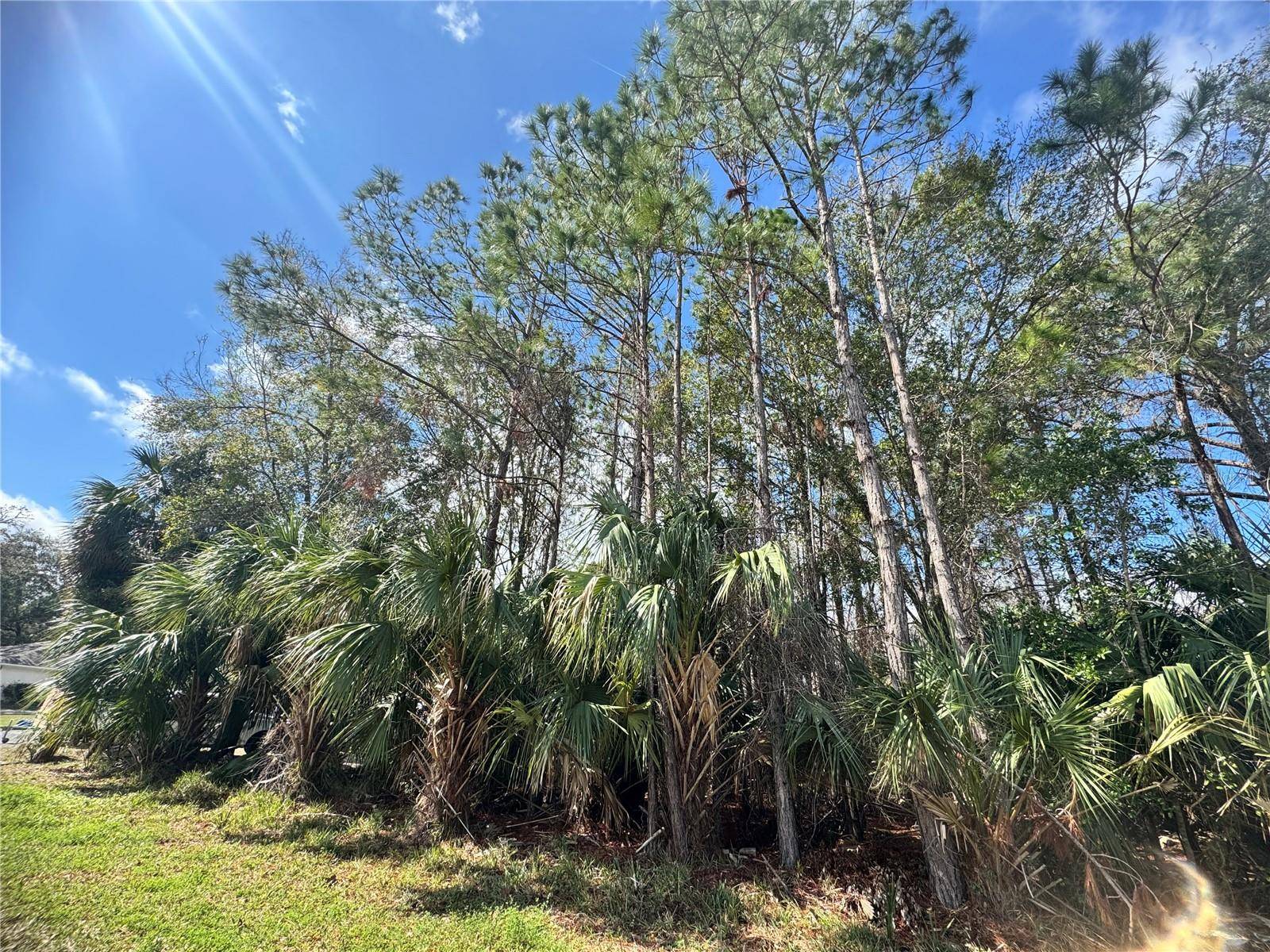 Crystal River, FL 34429,Address not disclosed