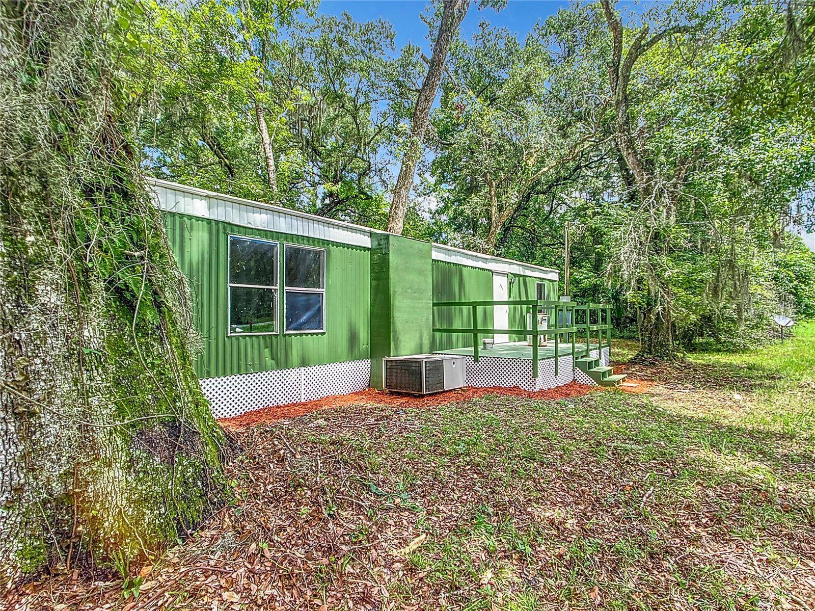 Micanopy, FL 32667,13026 SW WILLISTON RD