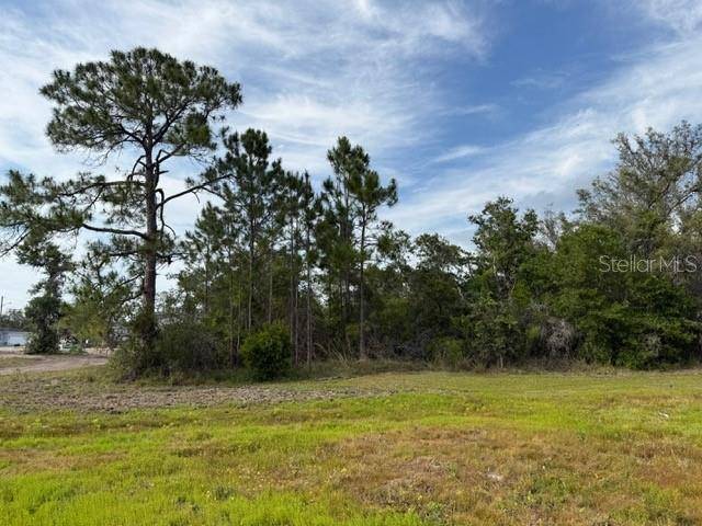 Poinciana, FL 34759,1649 REDFIN DR