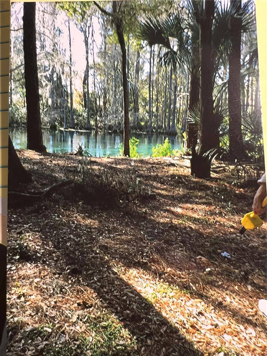 Dunnellon, FL 34432,SW 189TH TERRACE TER