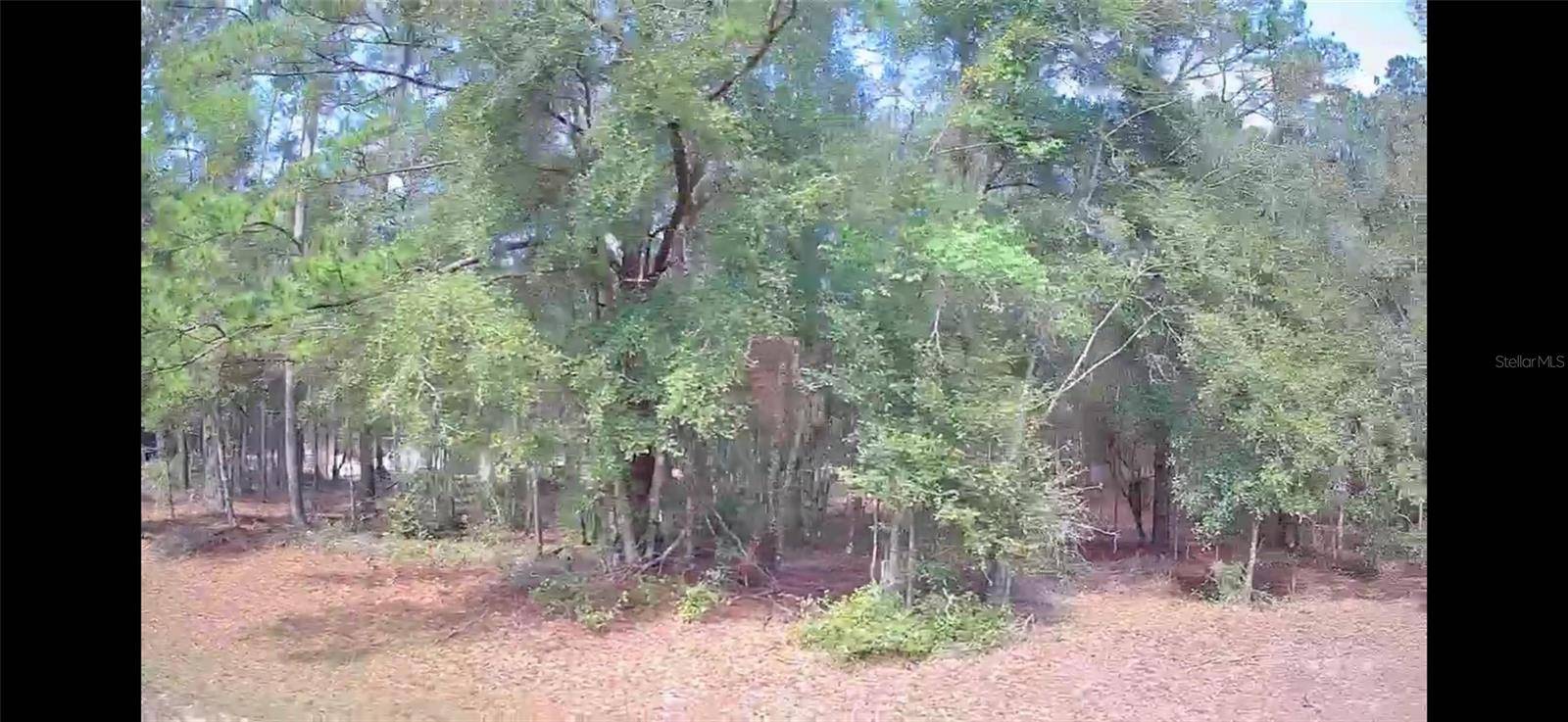 Citrus Springs, FL 34433,1479 E ODIN DR