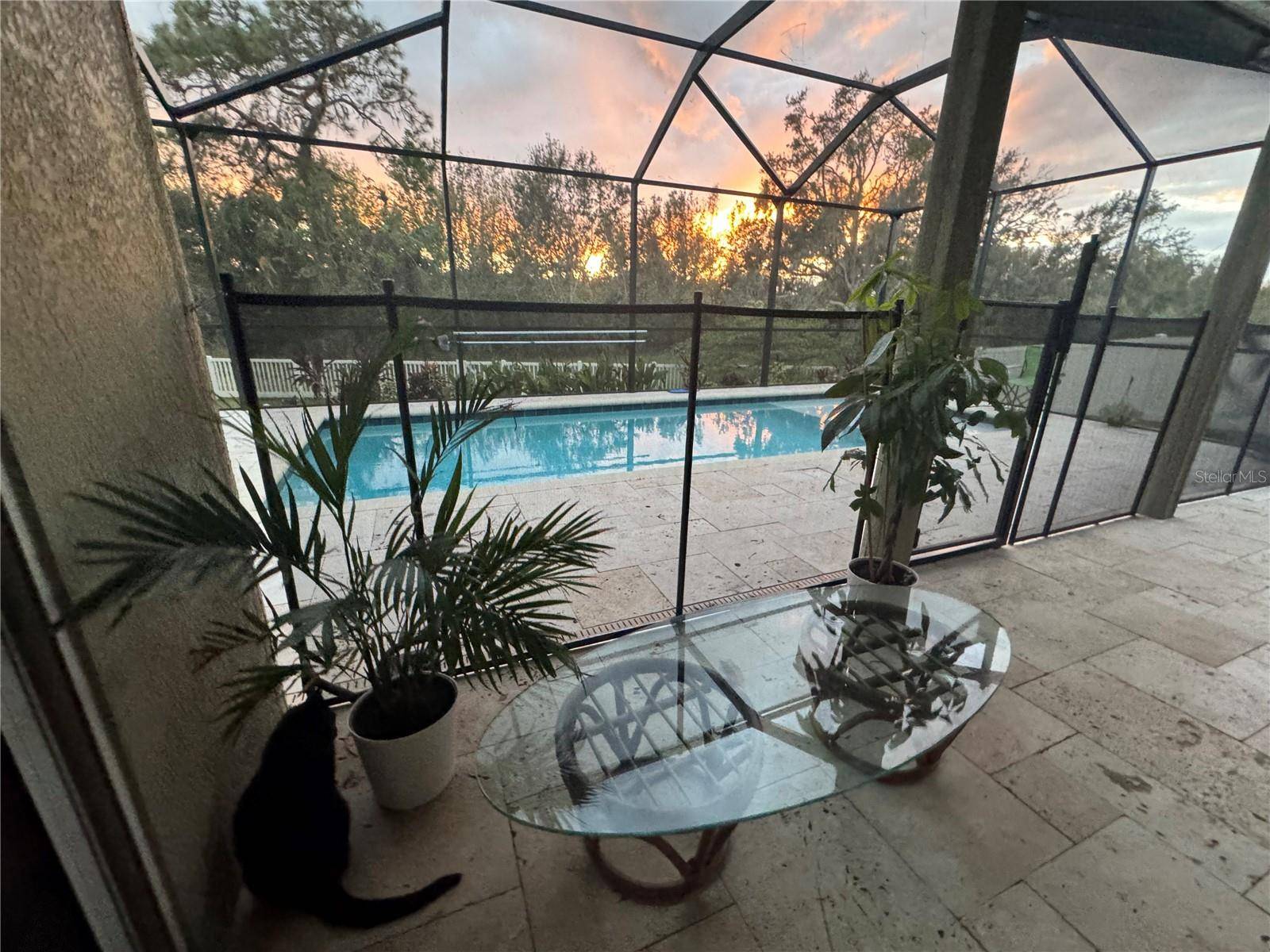 Riverview, FL 33569,11159 RUNNING PINE DR