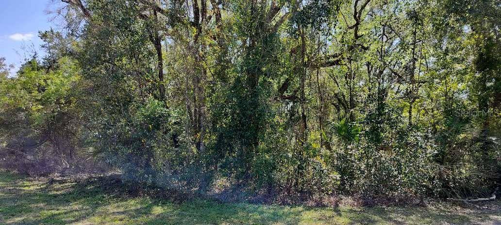 Inverness, FL 34453,517 S SAVARY AVE