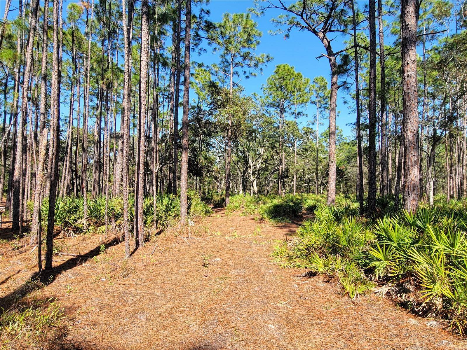 Weeki Wachee, FL 34614,16442 HARDEMAN JCT