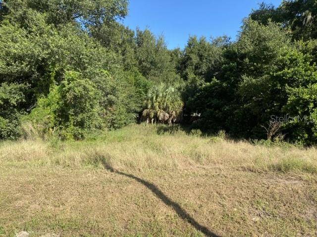 Eustis, FL 32726,US-441
