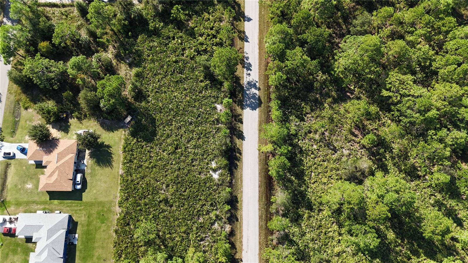 Lake Placid, FL 33852,541 EMBRACER ST NW