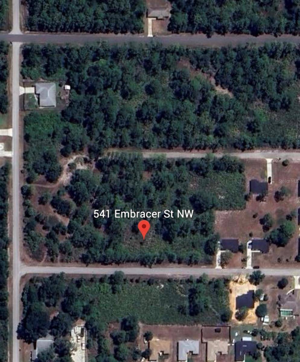 Lake Placid, FL 33852,541 EMBRACER ST NW