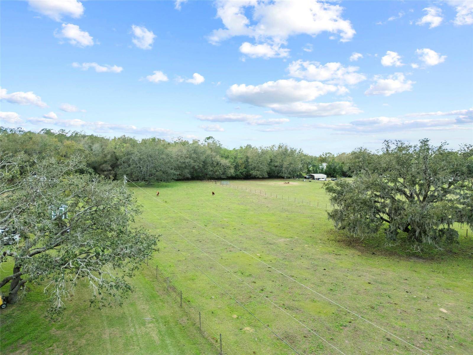 Dade City, FL 33525,0 COUNTRYVIEW LN