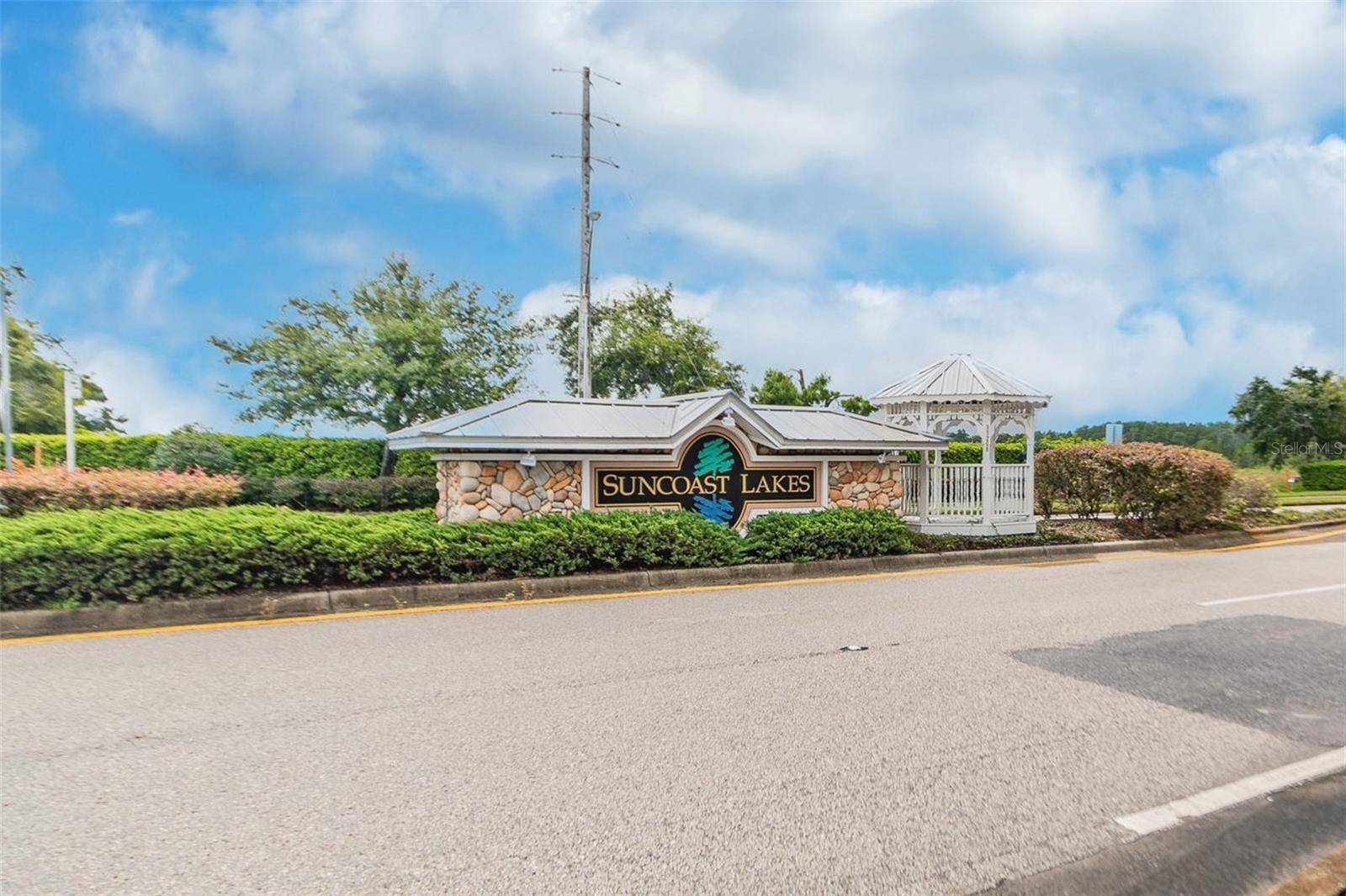 Land O Lakes, FL 34638,15807 LEATHERLEAF LN