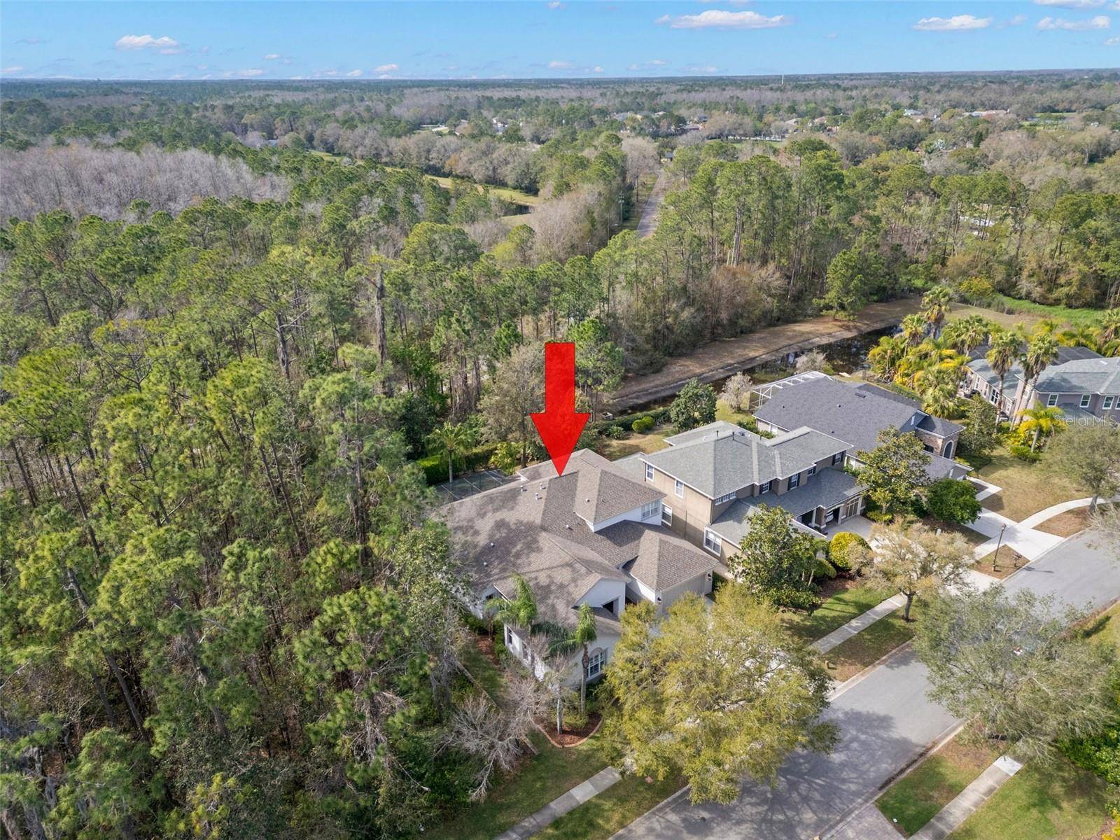 Tampa, FL 33626,14841 TUDOR CHASE DR