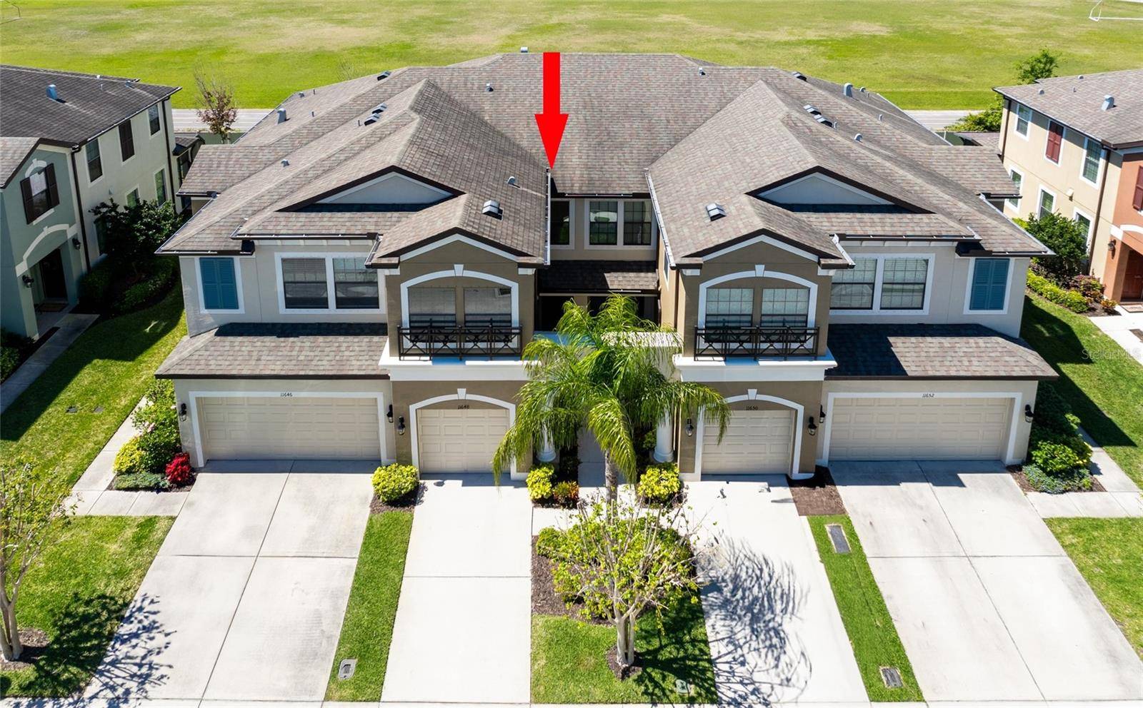 Tampa, FL 33626,11648 CROWNED SPARROW LN