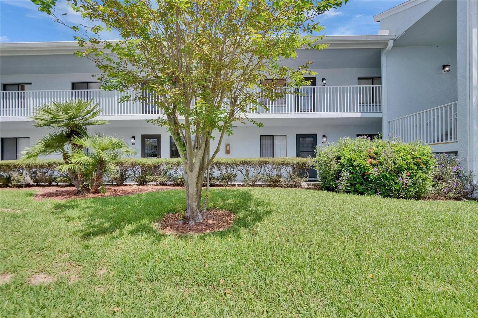 Oldsmar, FL 34677,313 MARTHA LN #4