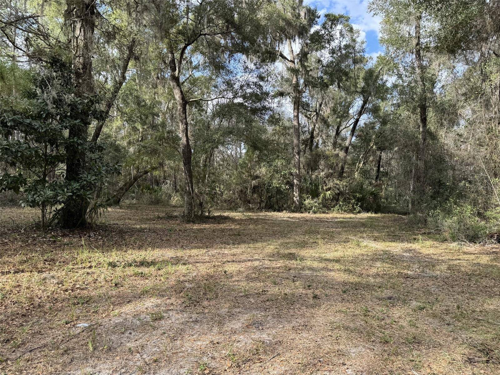 Micanopy, FL 32667,22422 NW 91 COURT RD