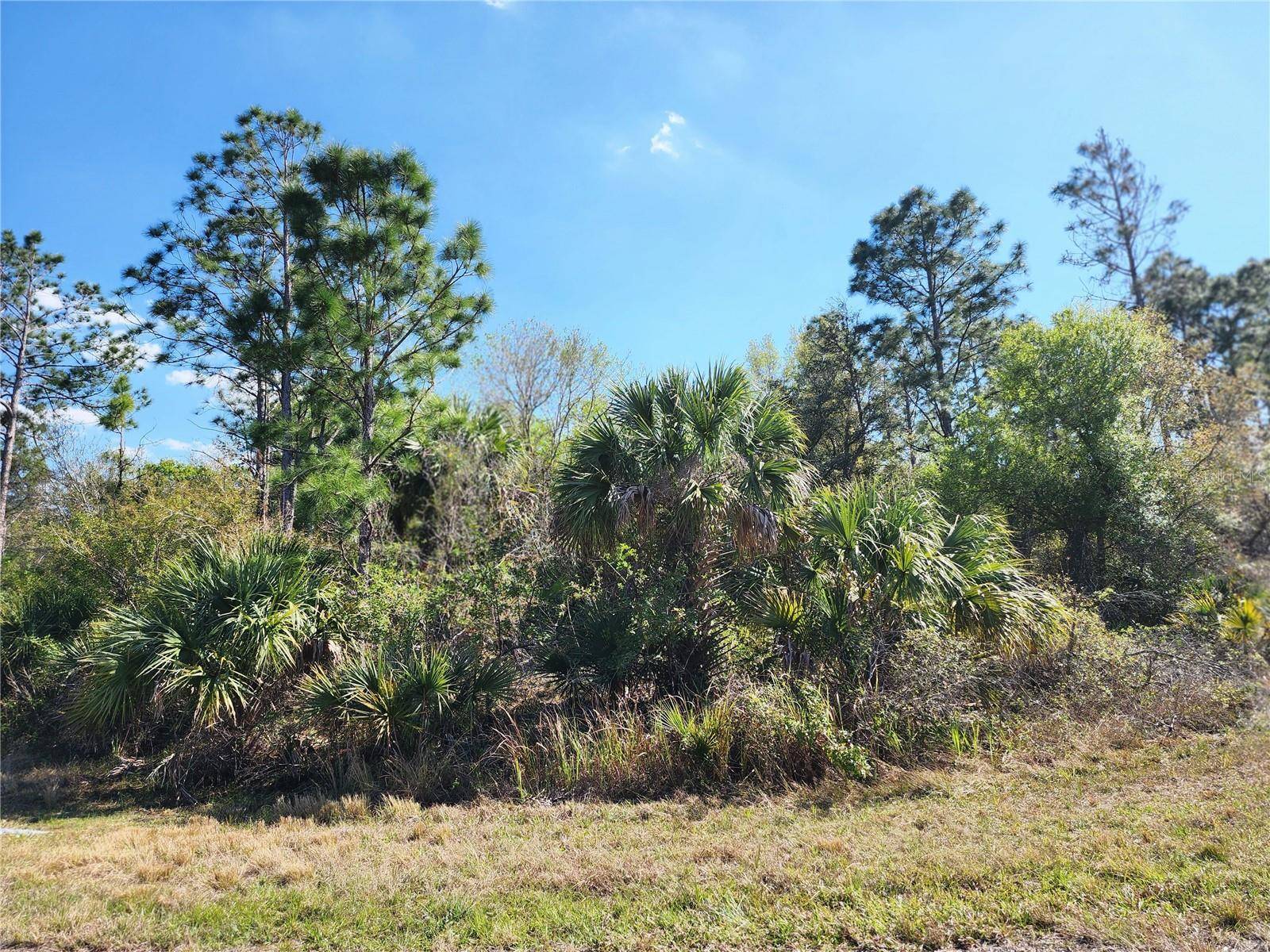 North Port, FL 34288,Lot 7 IRONSIDE ST