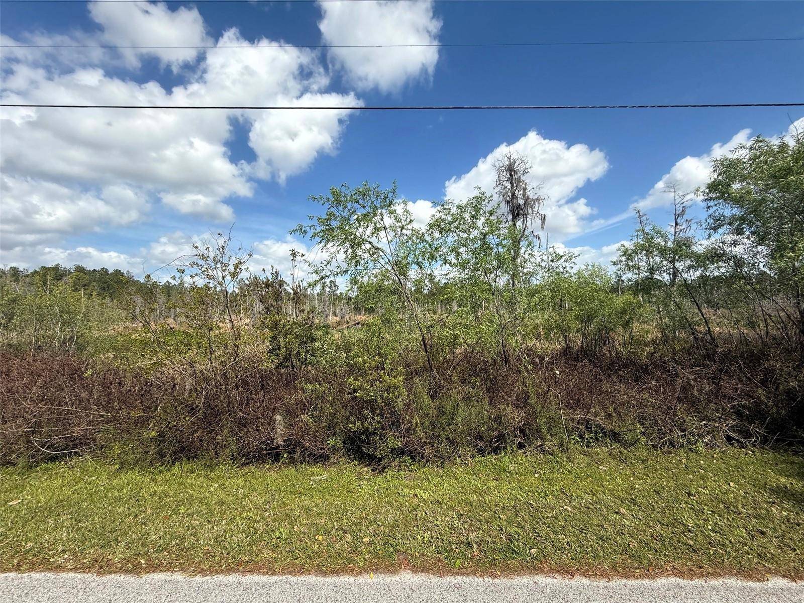 Wesley Chapel, FL 33544,GREEN WILLOW RUN #LOT 747