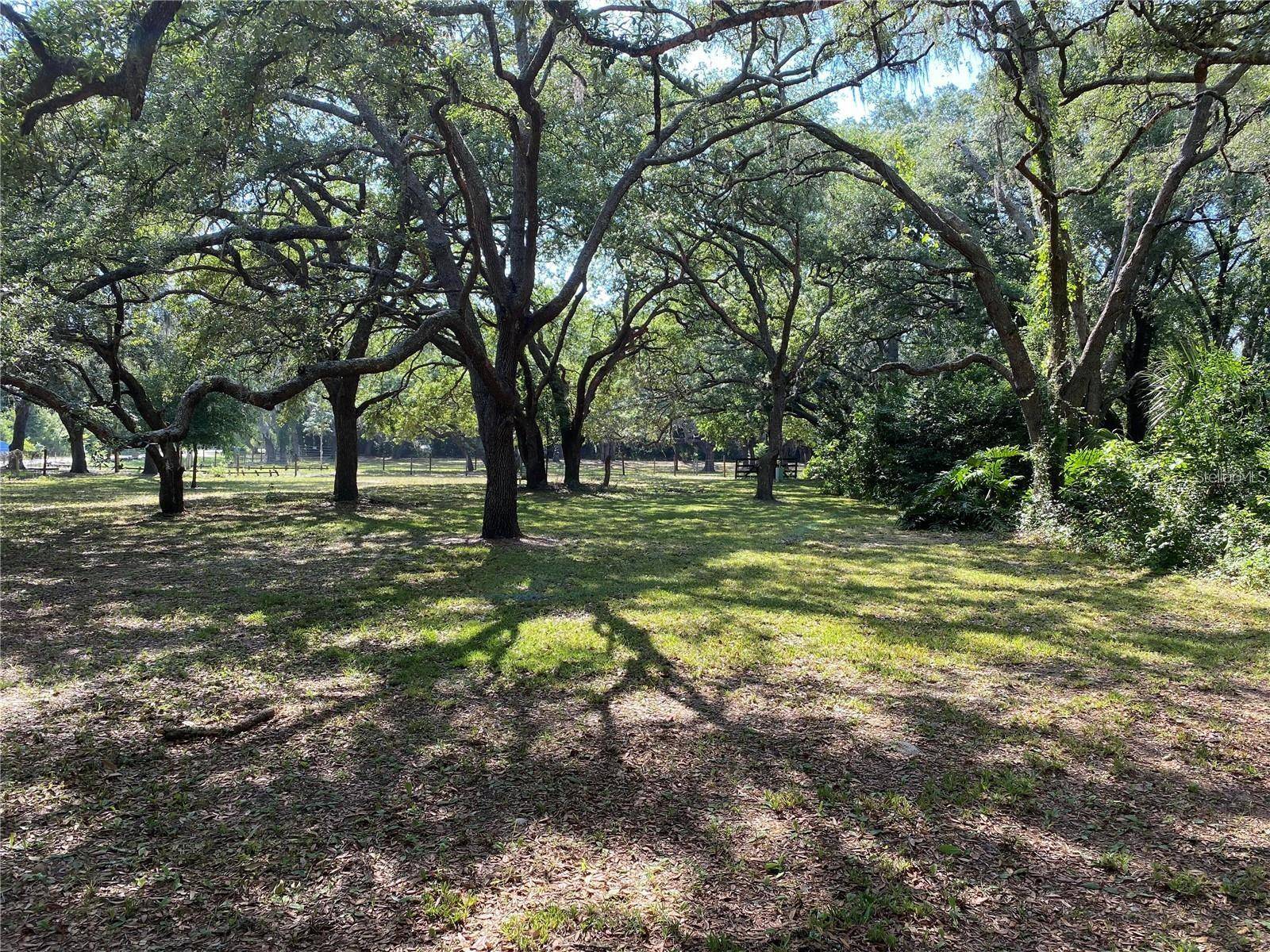 Spring Hill, FL 34610,14837 BATTENWOOD DR