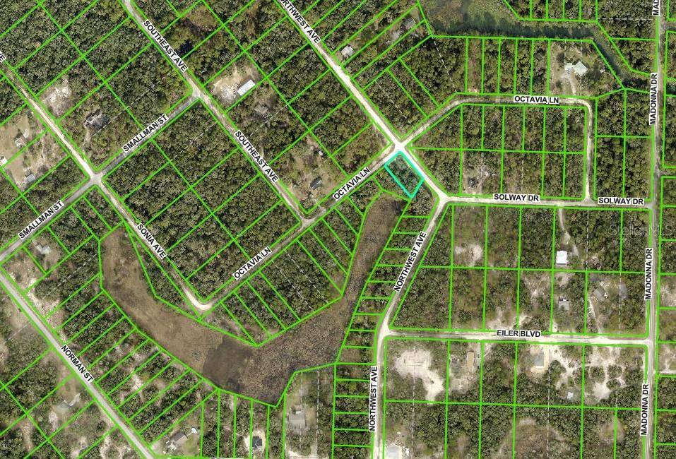 Webster, FL 33597,0 NORTHWEST AVE #Lot 32