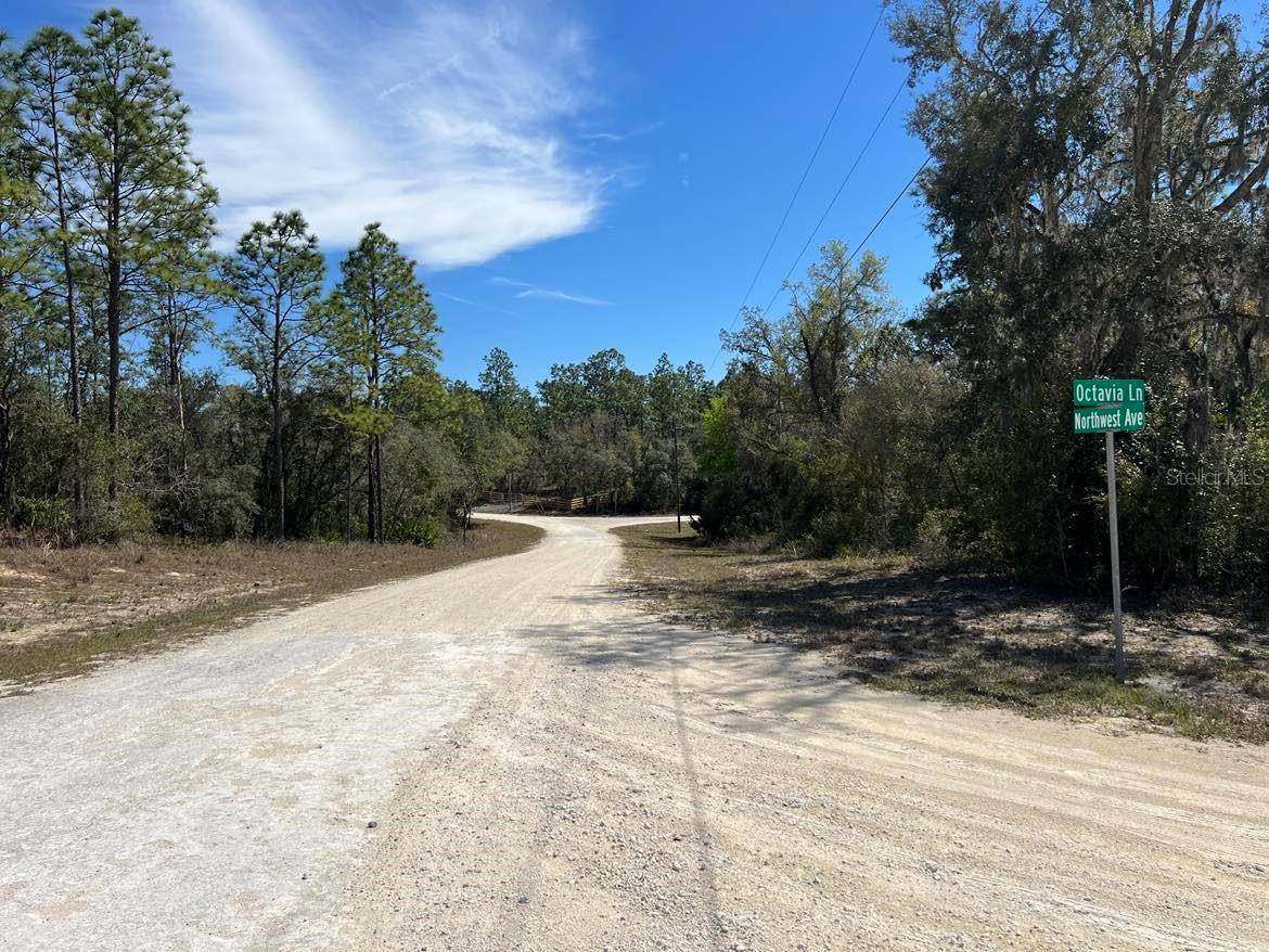 Webster, FL 33597,0 NORTHWEST AVE #Lot 32