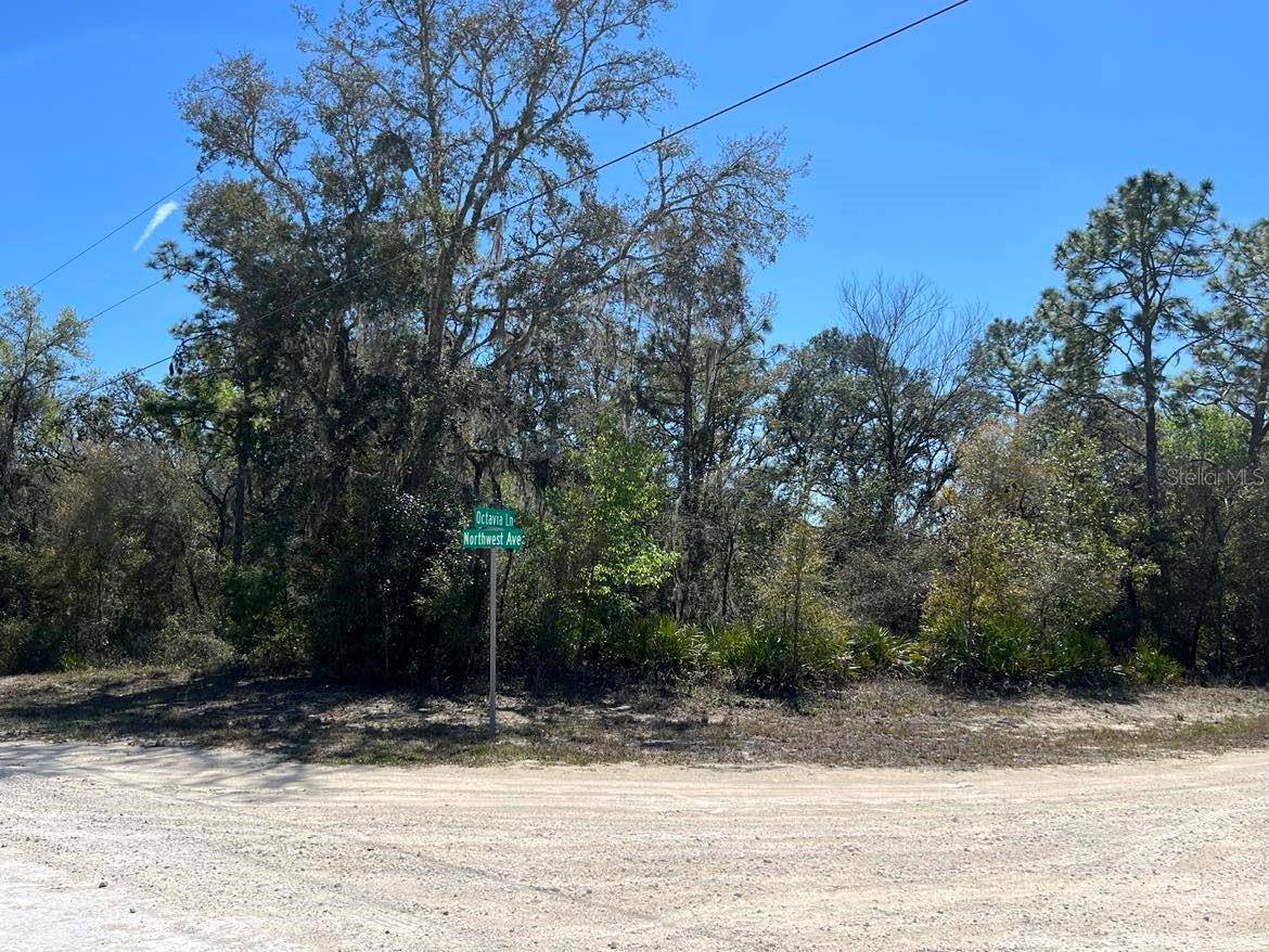 Webster, FL 33597,0 NORTHWEST AVE #Lot 32
