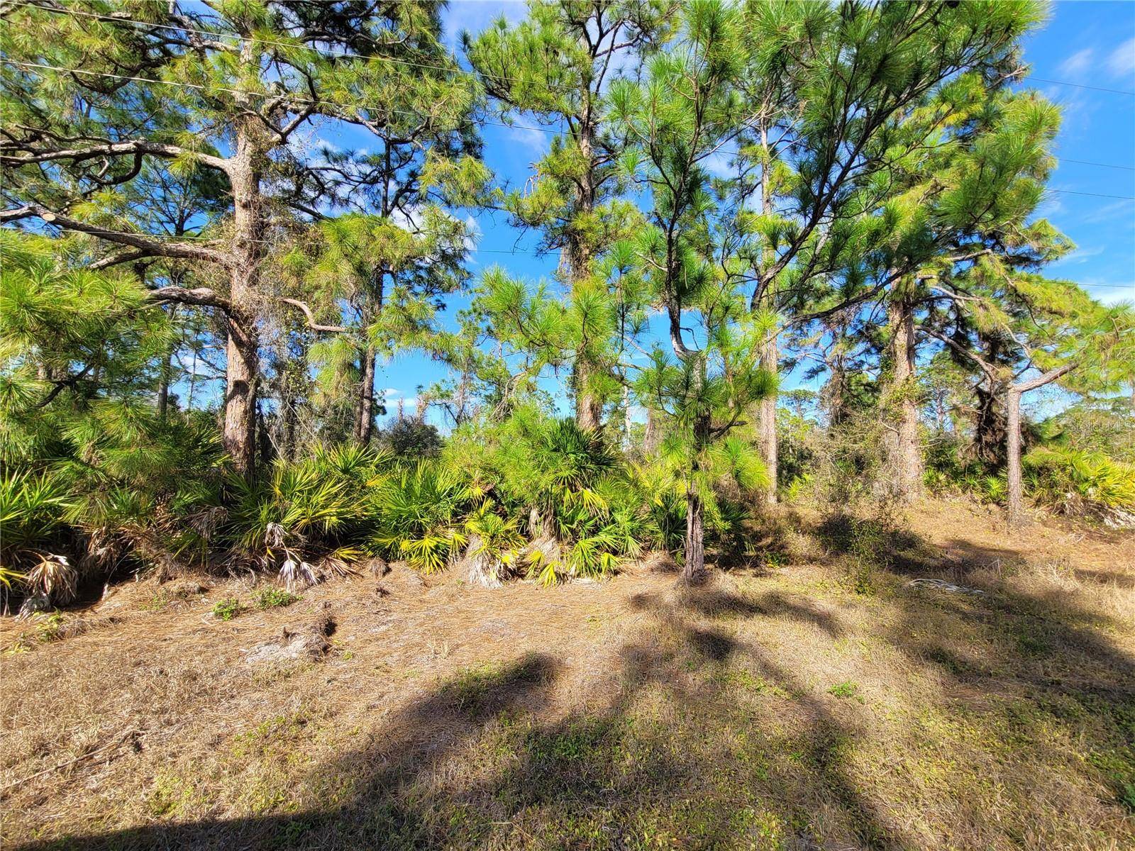 Lehigh Acres, FL 33974,236 PINOLA AVE S