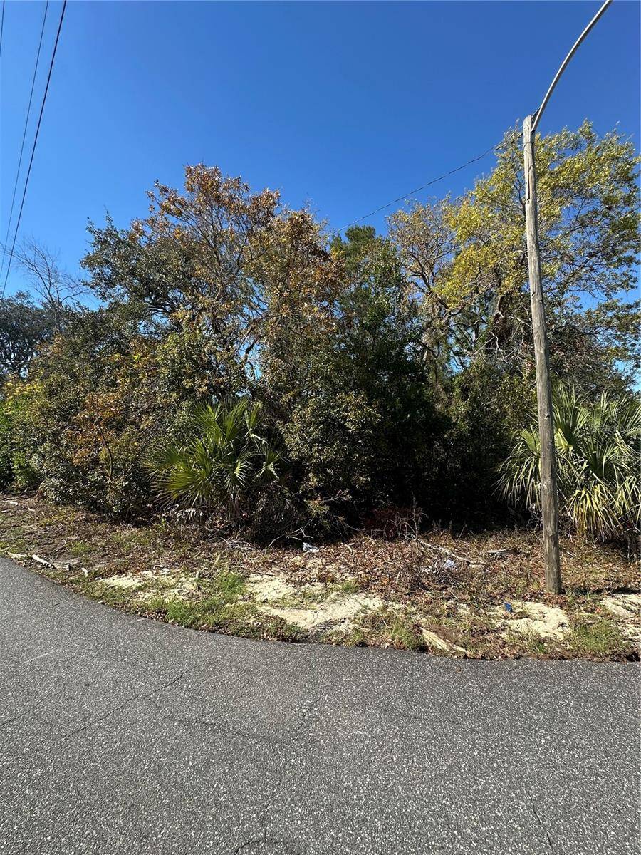 Spring Hill, FL 34609,3069 AMHERST AVE