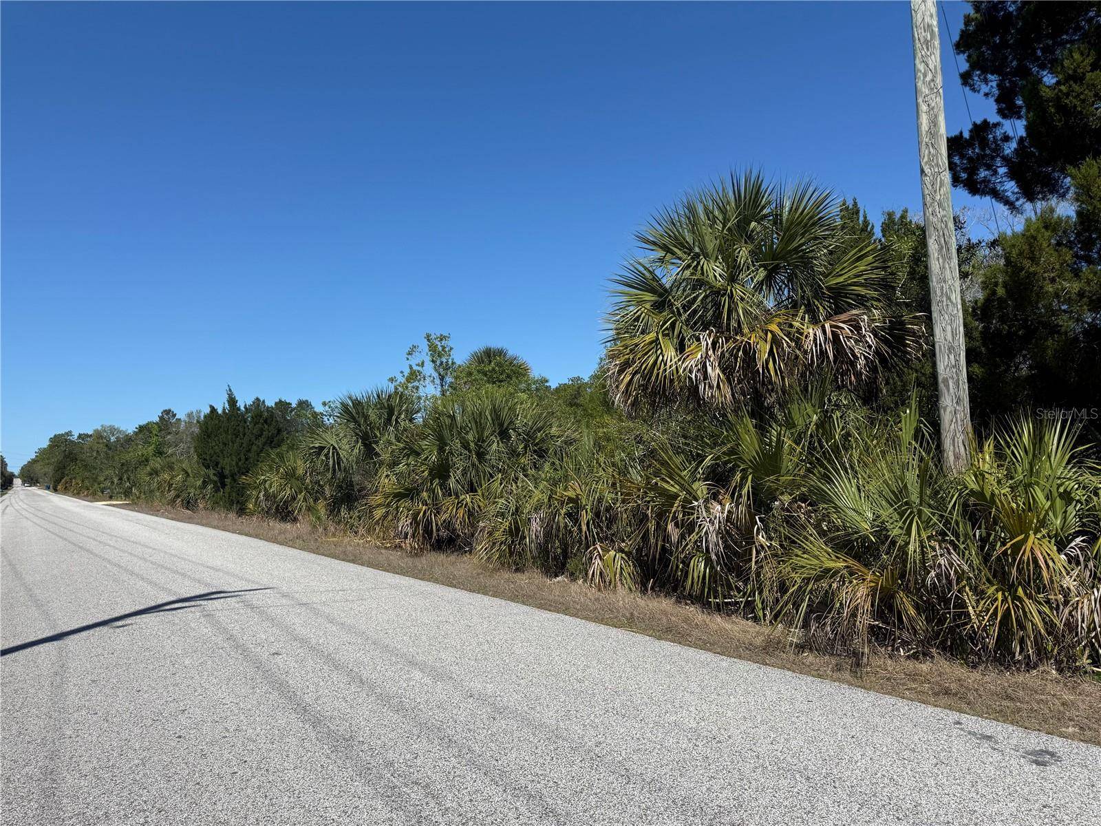 Weeki Wachee, FL 34613,9287 LONG LAKE AVE