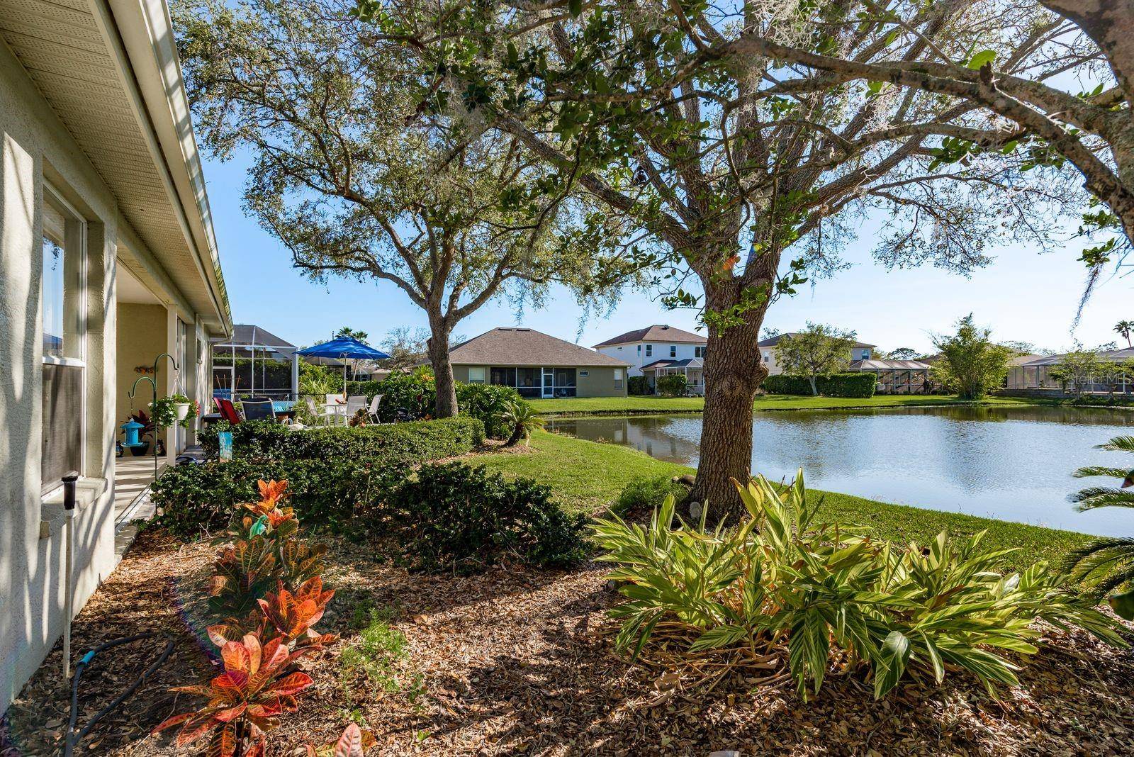 Oldsmar, FL 34677,412 PINEWOOD DR