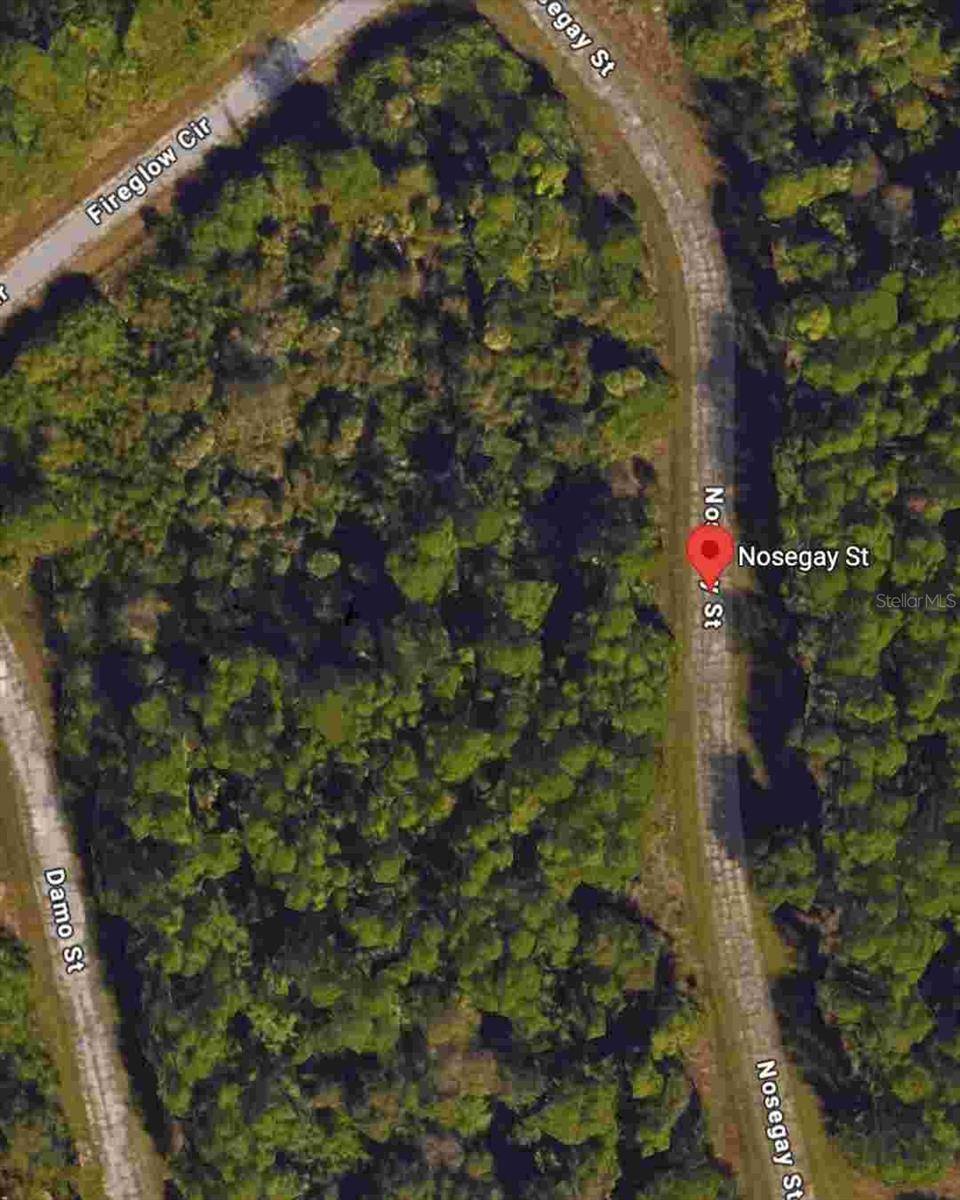 North Port, FL 34288,NOSEGAY ST