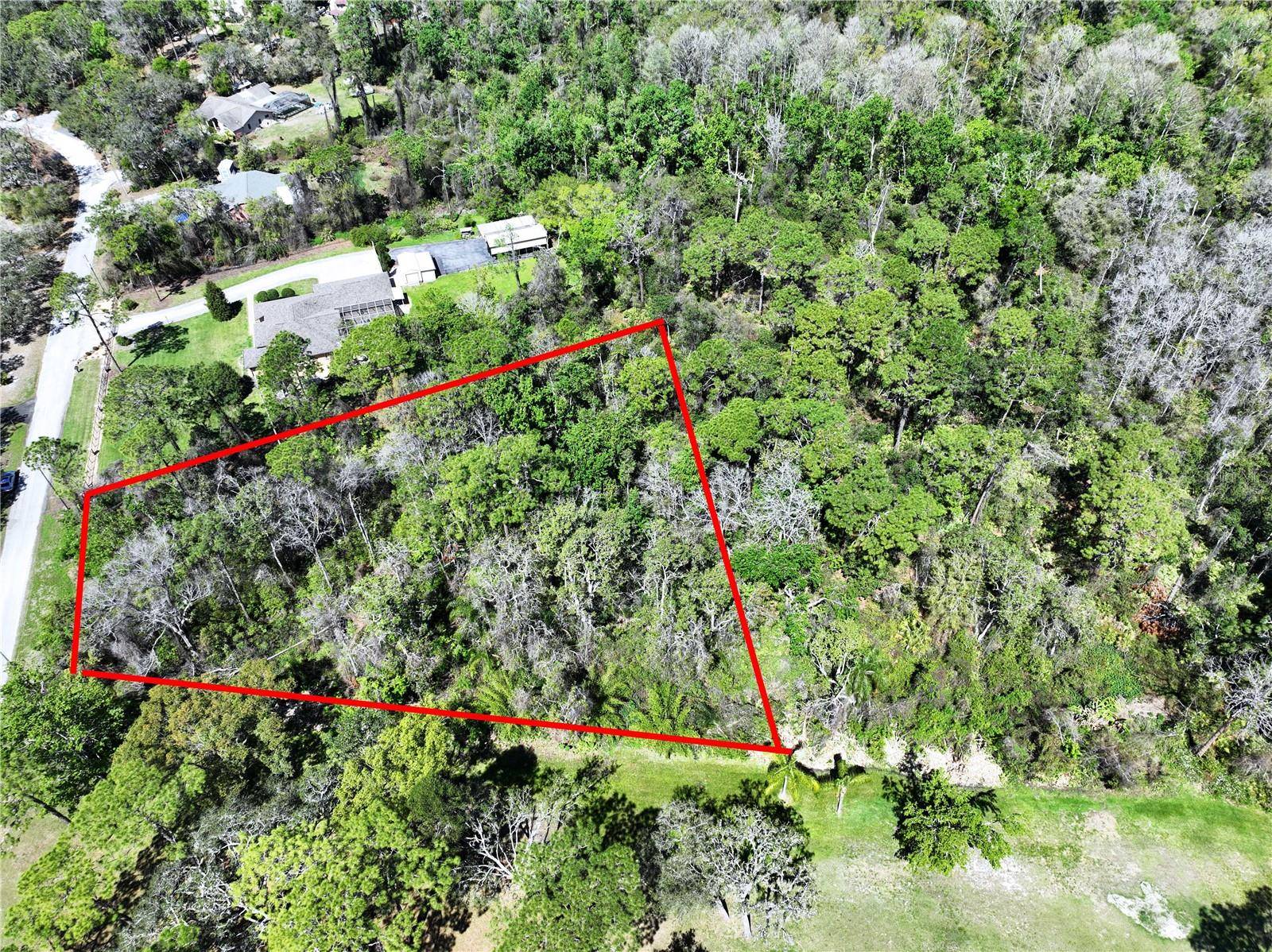 New Port Richey, FL 34654,RED OAK LOOP