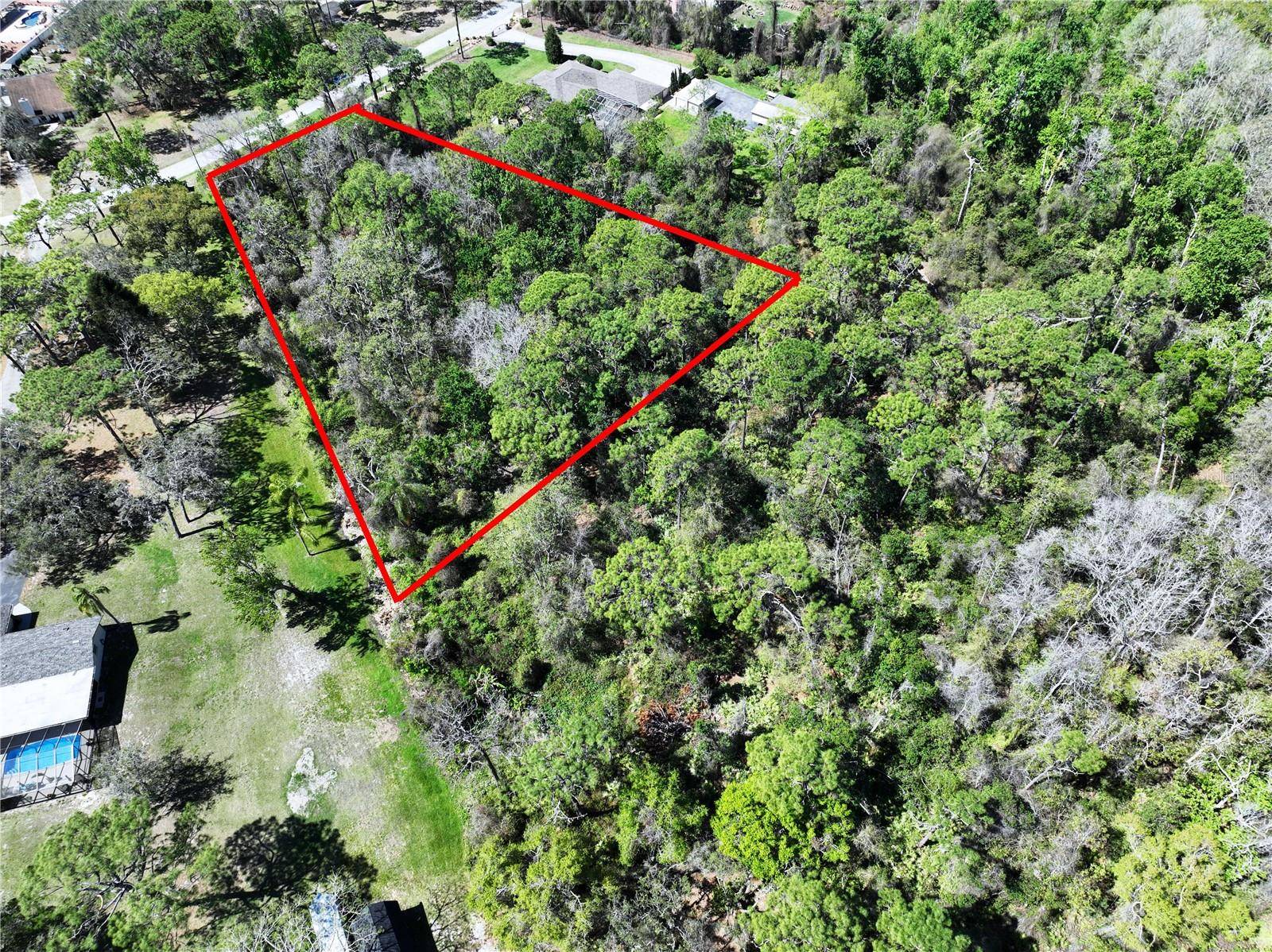 New Port Richey, FL 34654,RED OAK LOOP