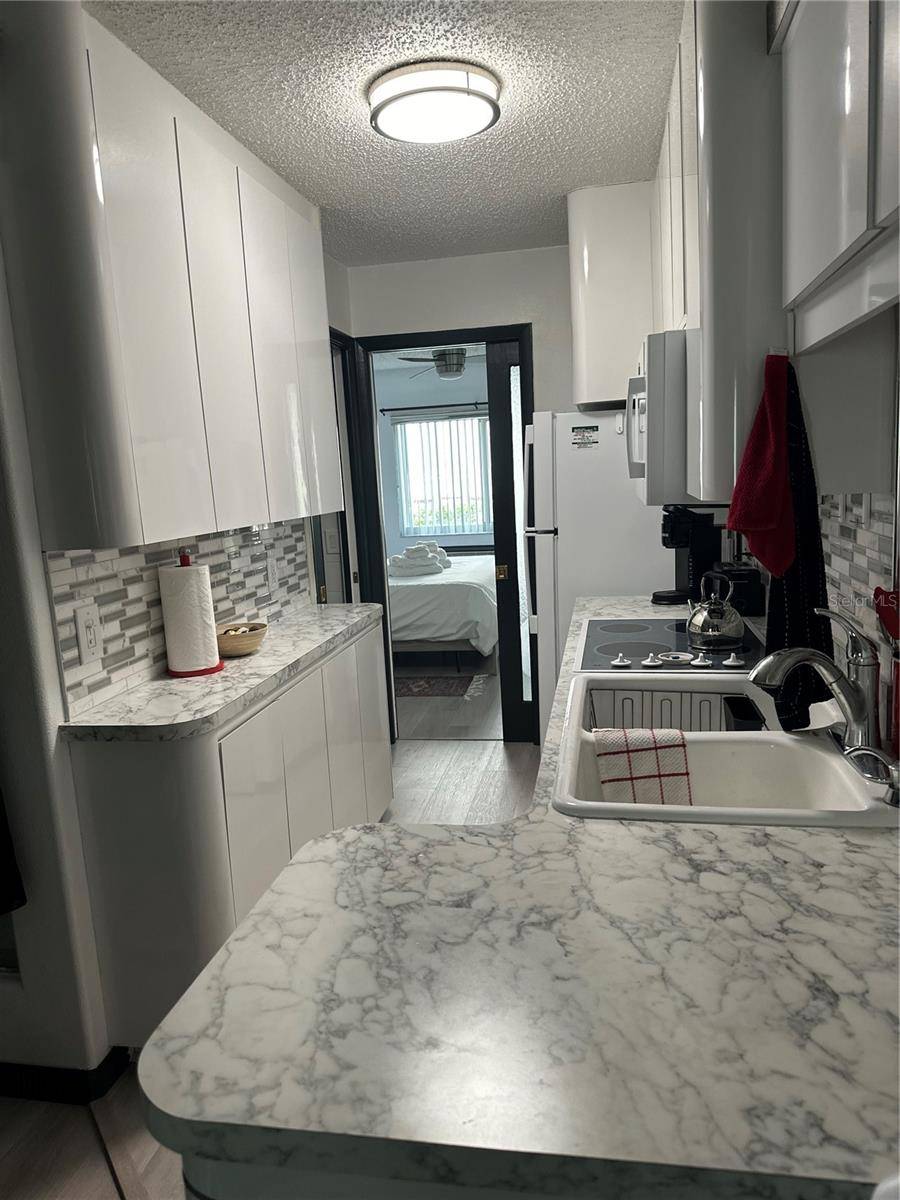 Lutz, FL 33558,20861 HAULOVER CV #5