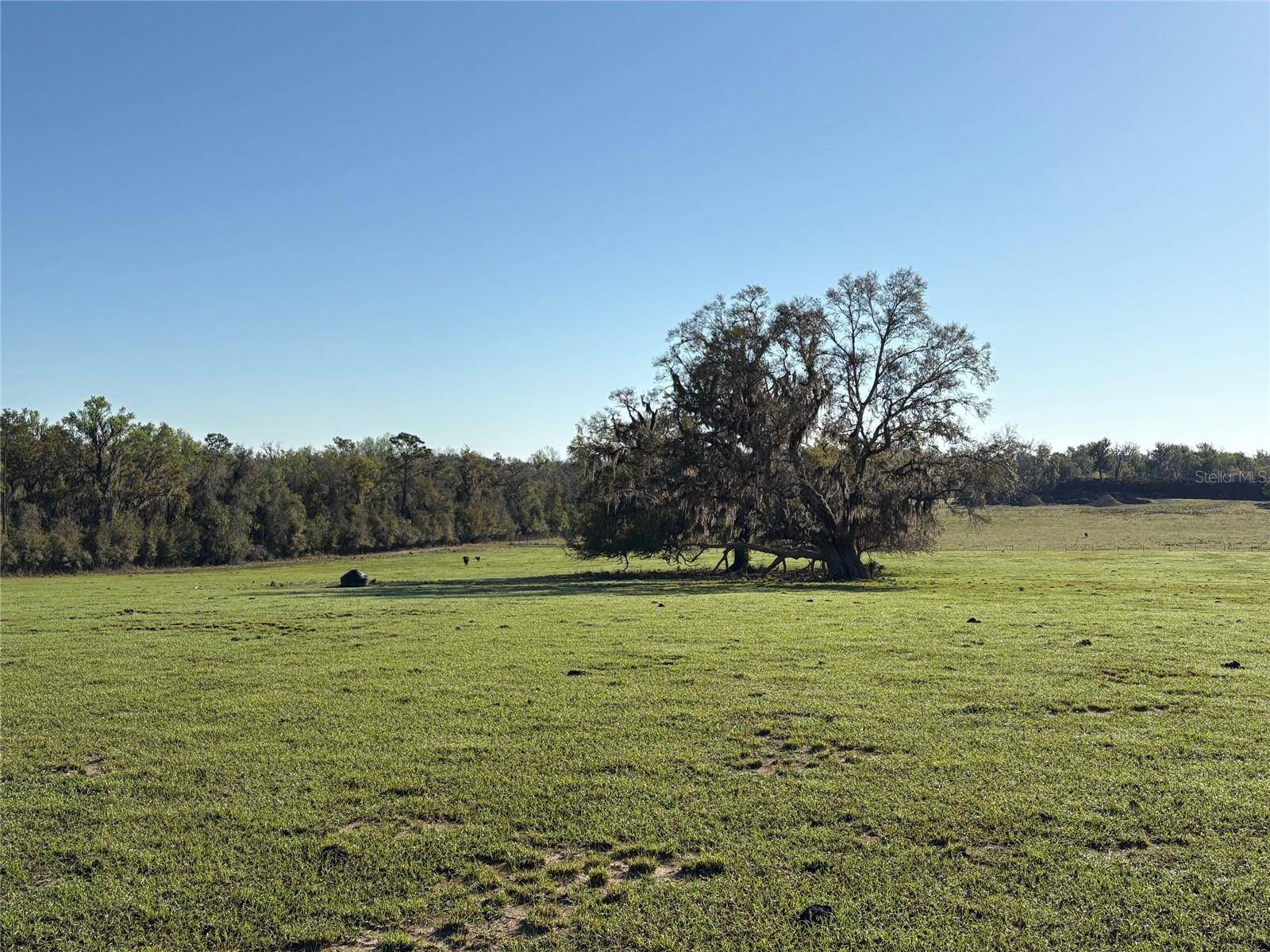 Brooksville, FL 34601,0 CITRUS WAY
