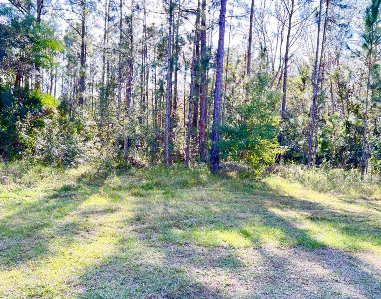Indian Lake Estates, FL 33855,1011 INDIAN LAKE DR